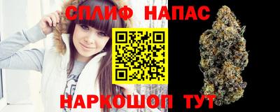 тгк Берёзовский