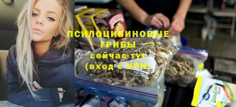 Псилоцибиновые грибы Psilocybine cubensis  KRAKEN ТОР  Черкесск  купить  сайты 