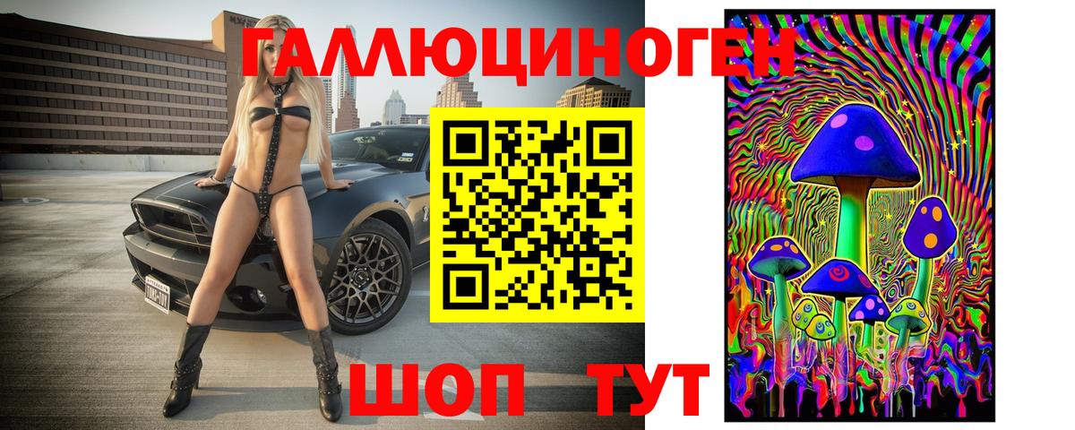 Псилоцибиновые грибы GOLDEN TEACHER  Вход с VPN  купить  цена  Черкесск 