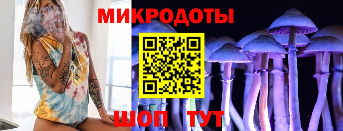 Псилоцибиновые грибы ЛСД  Галлюциногенные грибы Magic Shrooms  магазин  наркотиков  Черкесск 